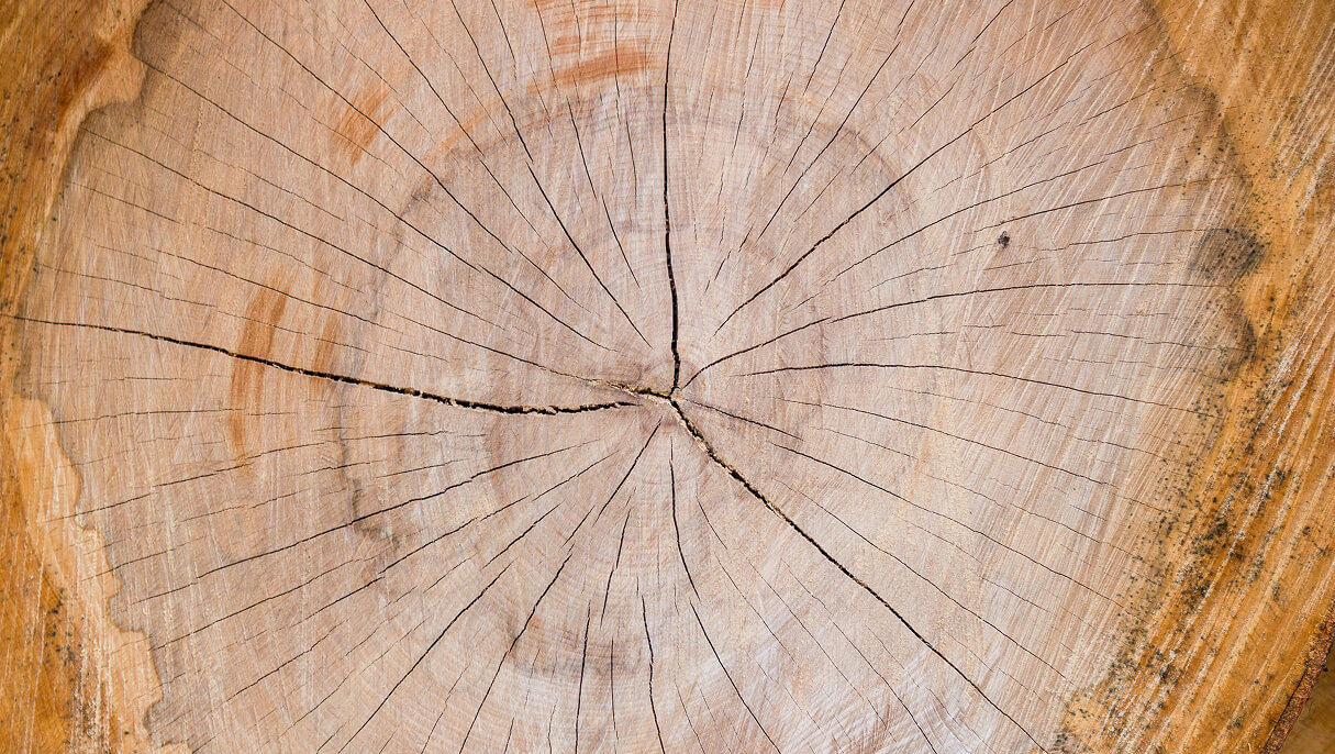 Natürliches Massivholz mit Jahresringen – Material für individuelle Holzküchen